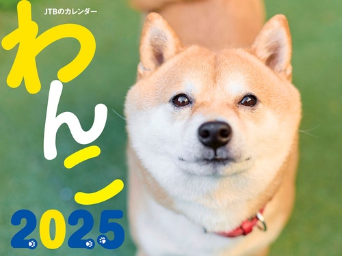JTBのカレンダー わんこ 2025 壁掛け 犬