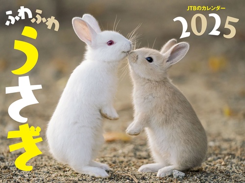 JTBのカレンダー ふわふわうさぎ  2025 壁掛け 動物