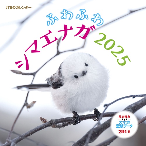 JTBのカレンダー ふわふわシマエナガ 2025 壁掛け 鳥