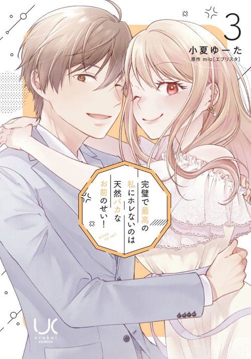 完璧で最高の私にホレないのは天然バカなお前のせい！ （　３）完