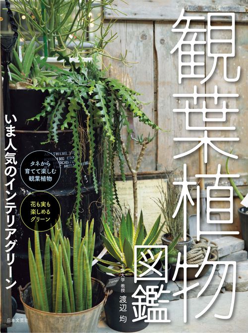 観葉植物図鑑