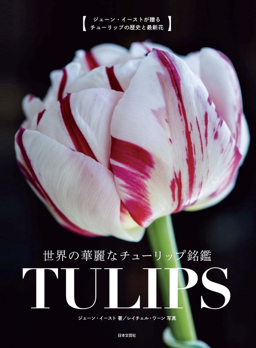 世界の華麗なチューリップ銘鑑　ＴＵＬＩＰＳ