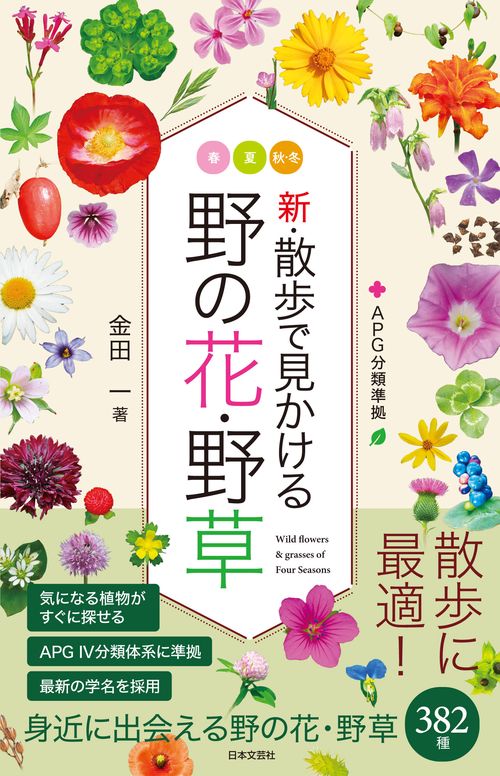 新・散歩で見かける野の花・野草