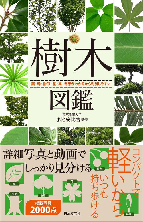 樹木図鑑