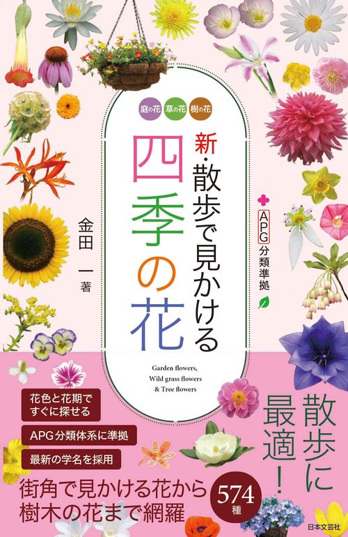 新・散歩で見かける四季の花