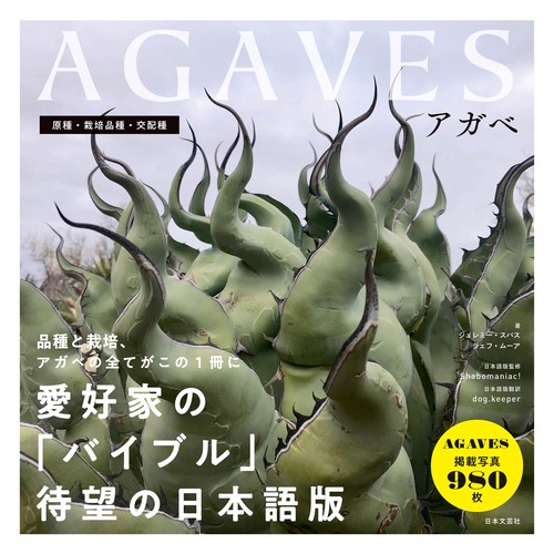 AGAVES アガベ – 丸善ジュンク堂書店ネットストア