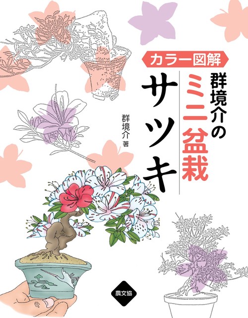 群境介のミニ盆栽サツキ カラー図解