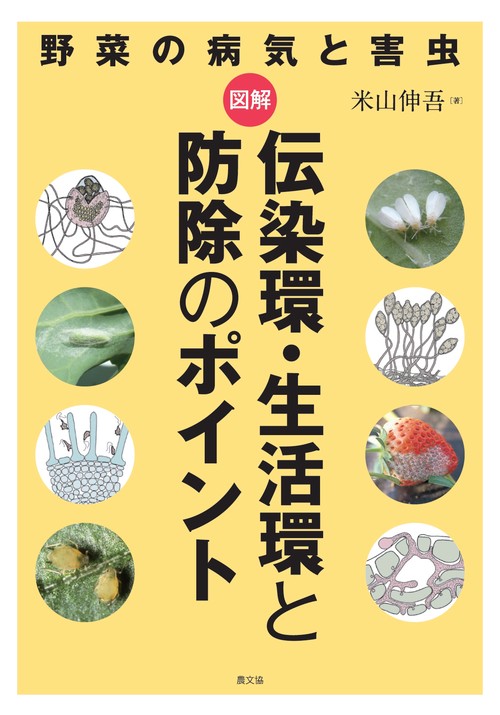 野菜の病気と害虫　図解　伝染環・生活環と防除のポイント