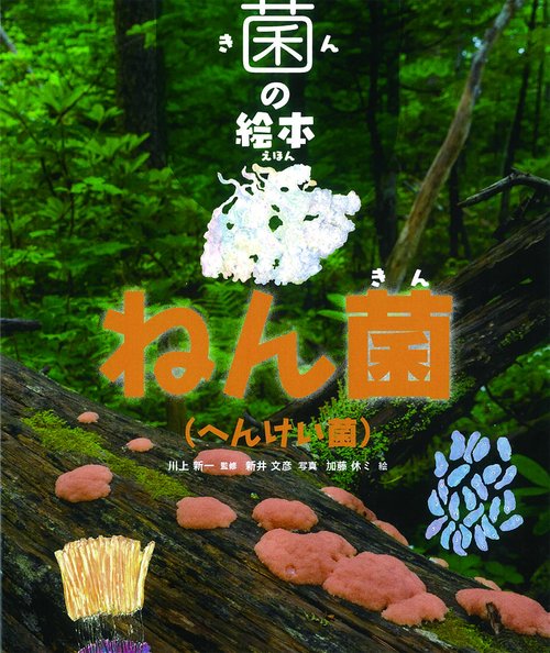 ねん菌〈へんけい菌〉