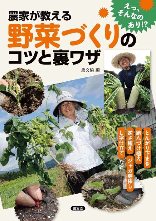 農家が教える野菜づくりのコツと裏ワザ とんがり下まき、踏んづけ植え、逆さ植え、ジャガ芽挿し、L字仕立てなど