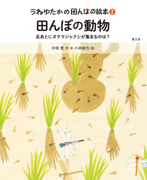 田んぼの動物