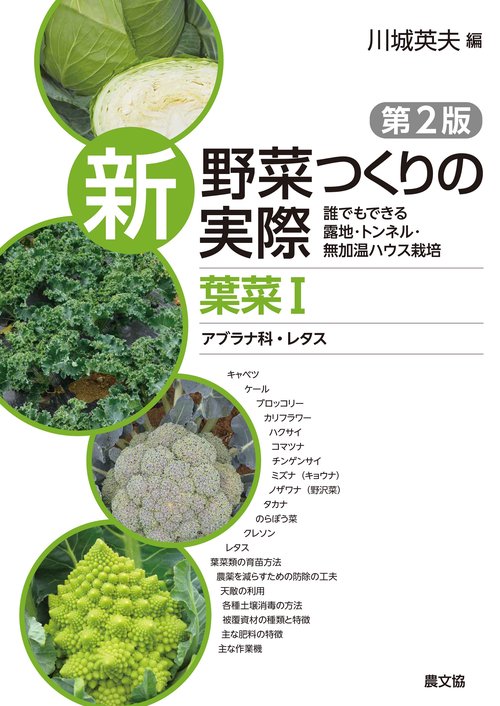 葉菜Ⅰ　アブラナ科・レタス