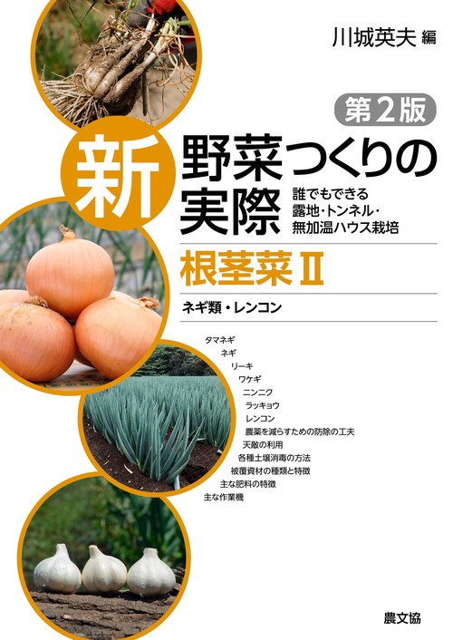 根茎菜Ⅱ　ネギ類・レンコン