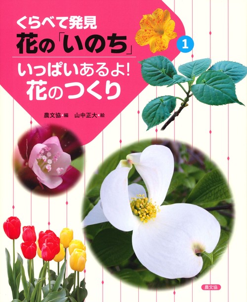 いっぱいあるよ！花のつくり