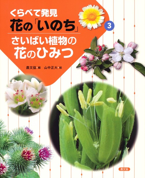 さいばい植物の花のひみつ