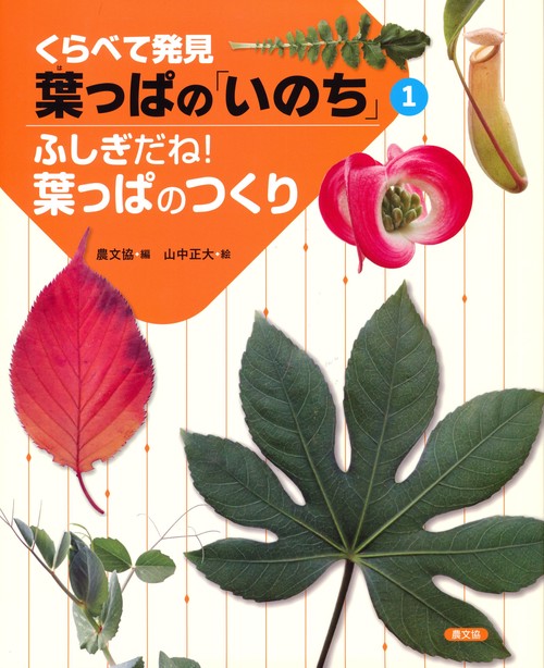 ふしぎだね！葉っぱのつくり