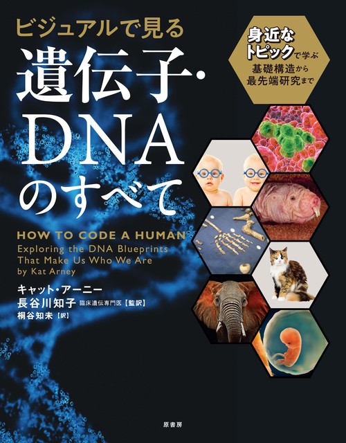 ビジュアルで見る遺伝子・DNAのすべて 身近なトピックで学ぶ基礎構造から最先端研究まで