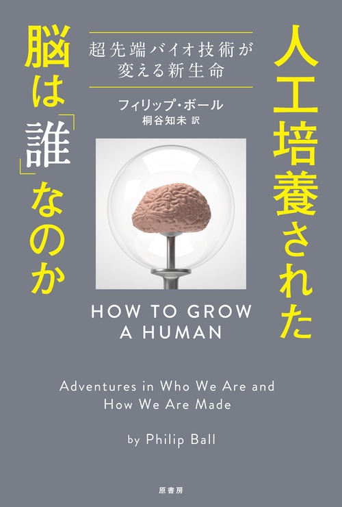人工培養された脳は「誰」なのか
