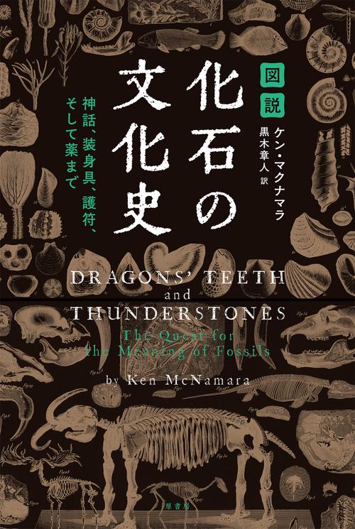 図説　化石の文化史