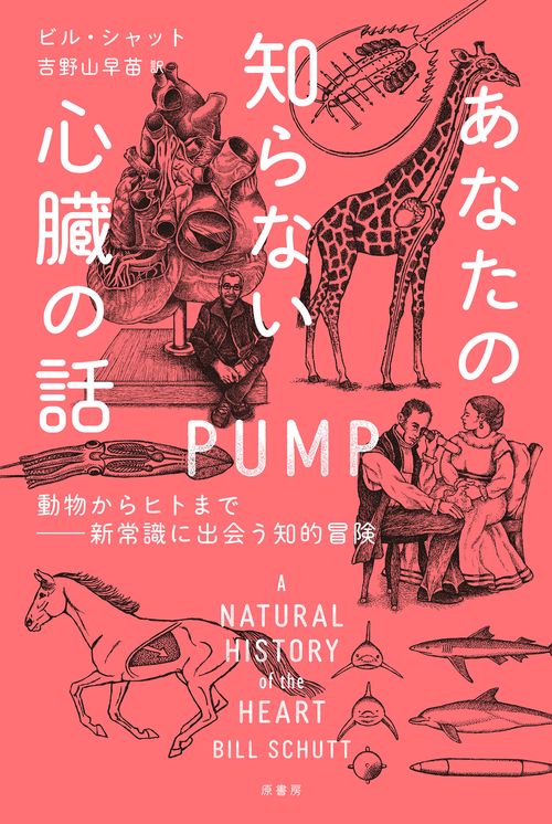 あなたの知らない心臓の話