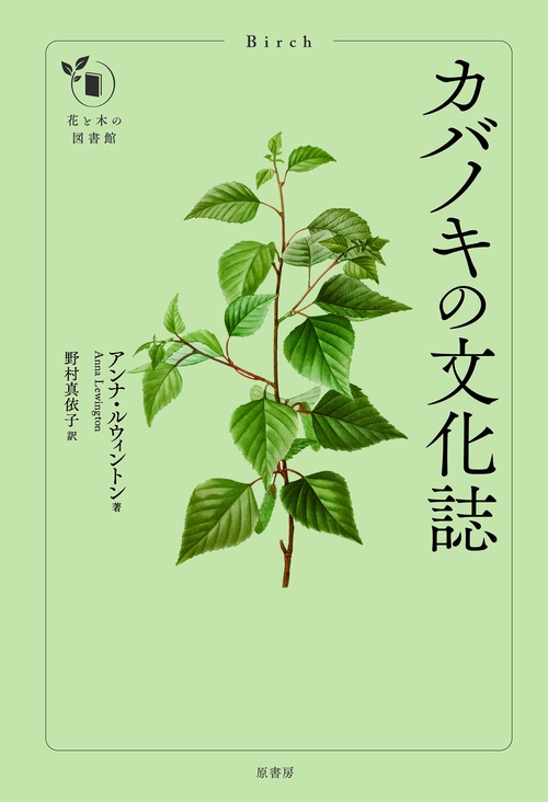 カバノキの文化誌