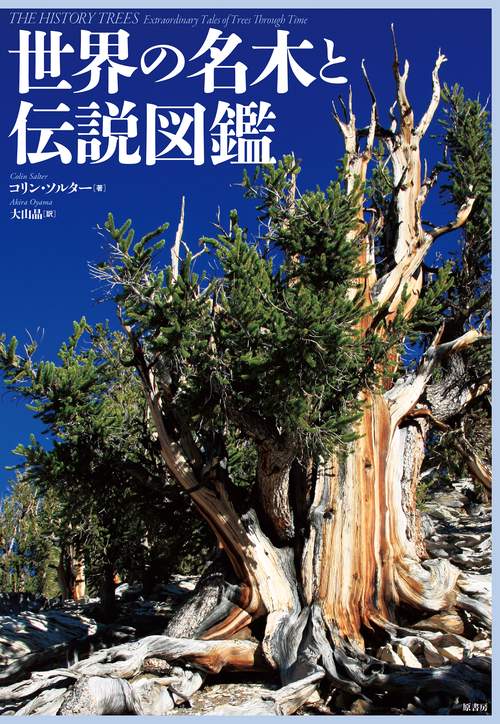 世界の名木と伝説図鑑