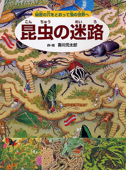 昆虫の迷路