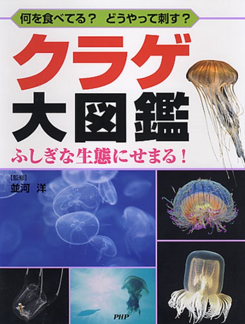 何を食べてる？ どうやって刺す？ クラゲ大図鑑