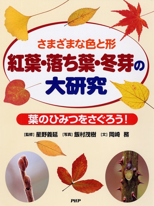 紅葉・落ち葉・冬芽の大研究