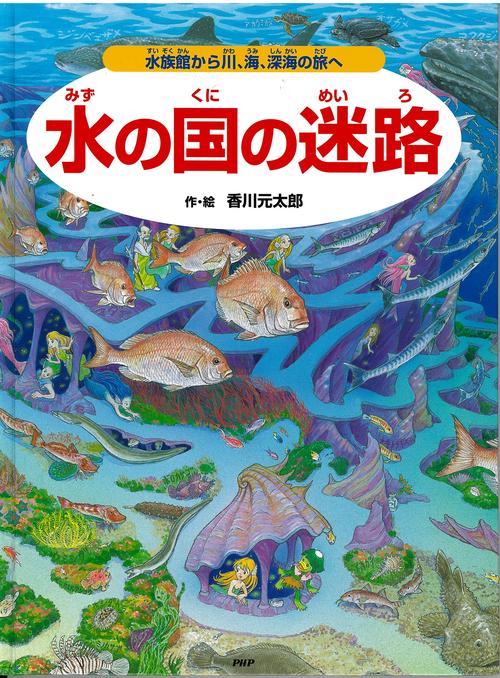 水の国の迷路