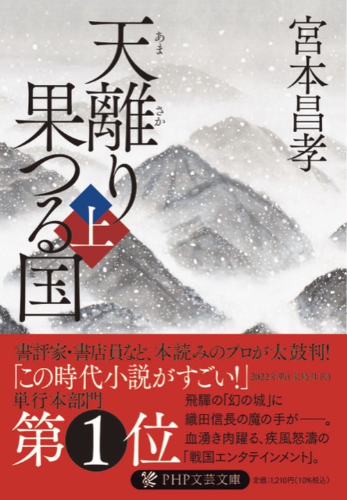 天離り果つる国（上）