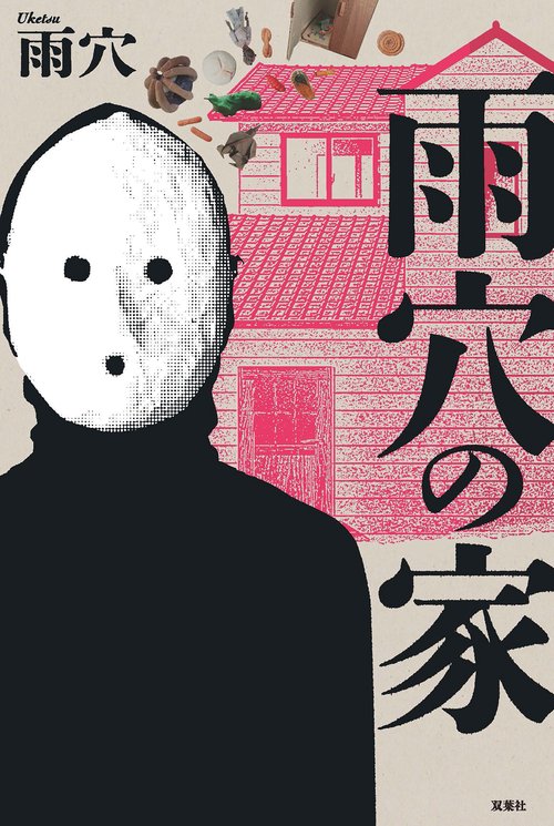 雨穴の家
