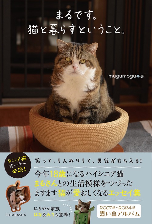 まるです。猫と暮らすということ。
