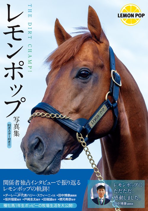レモンポップ写真集　THE DIRT CHAMP!