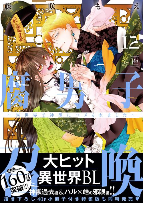 腐男子召喚～異世界で神獣にハメられました～ 12