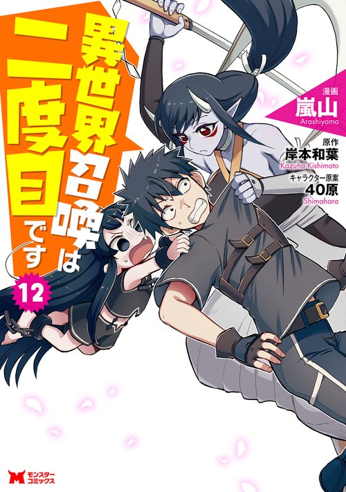 異世界召喚は二度目です 12