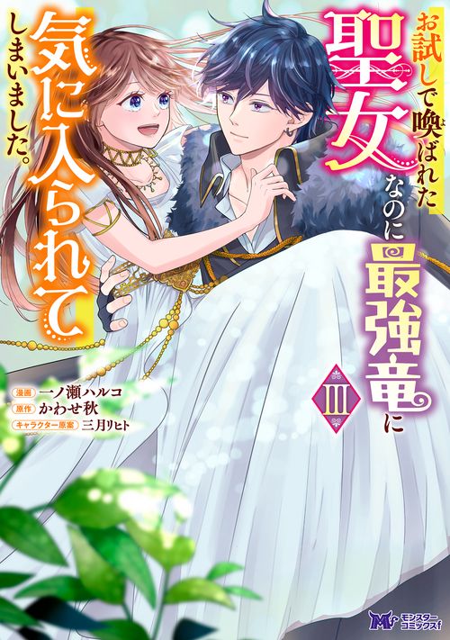 お試しで喚ばれた聖女なのに最強竜に気に入られてしまいました。 3