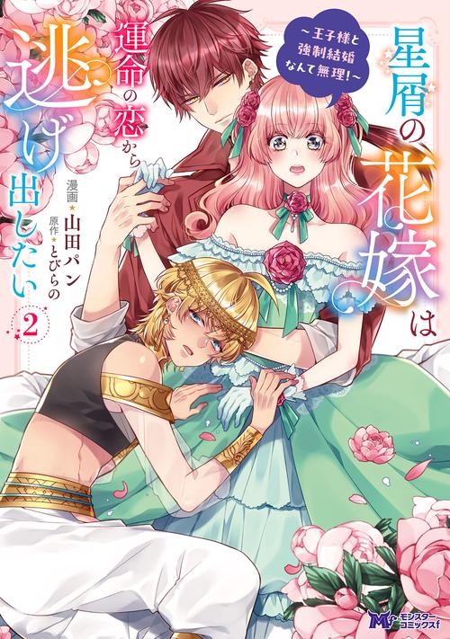 星屑の花嫁は運命の恋から逃げ出したい～王子様と強制結婚なんて無理！～ 2