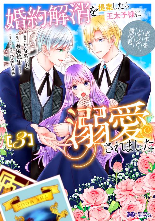 婚約解消を提案したら王太子様に溺愛されました～お手をどうぞ、僕の君～ 3