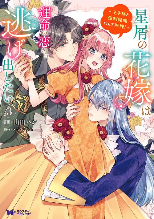 星屑の花嫁は運命の恋から逃げ出したい～王子様と強制結婚なんて無理！～‎ 3