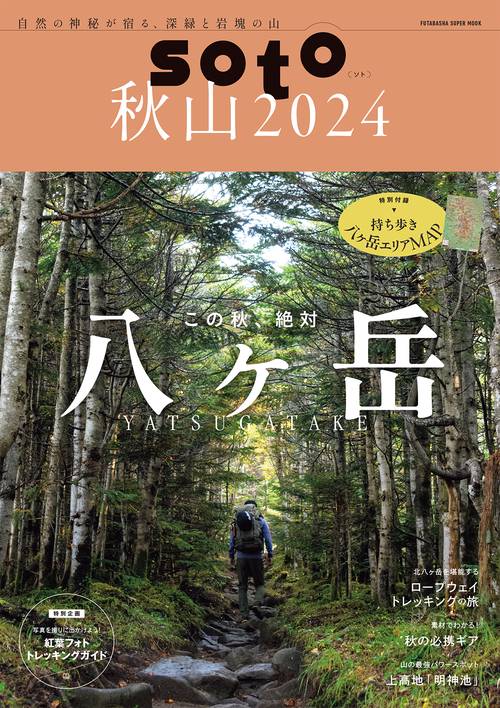 soto秋山2024