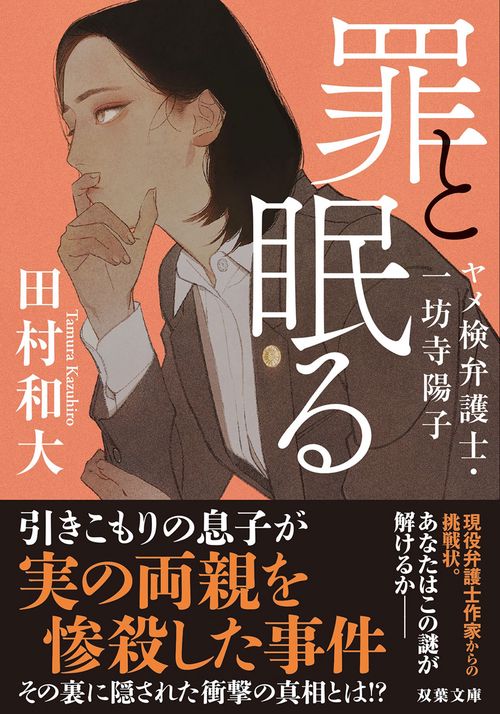 罪と眠る　ヤメ検弁護士・一坊寺陽子