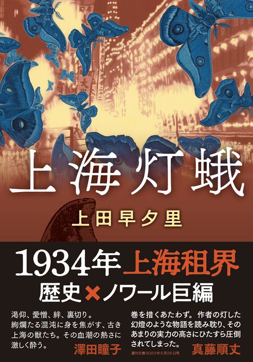 上海灯蛾