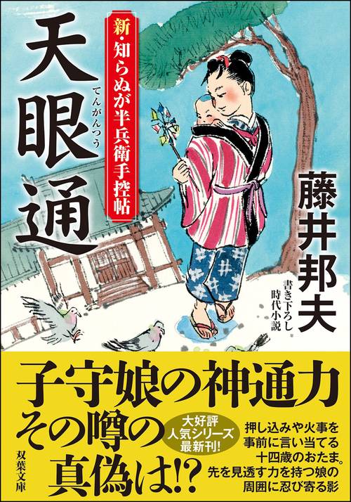 新・知らぬが半兵衛手控帖（１４）　天眼通