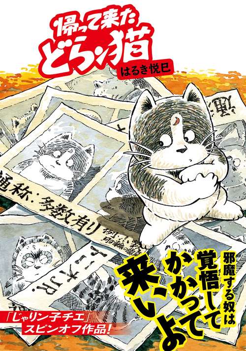 帰って来たどらン猫(こ)
