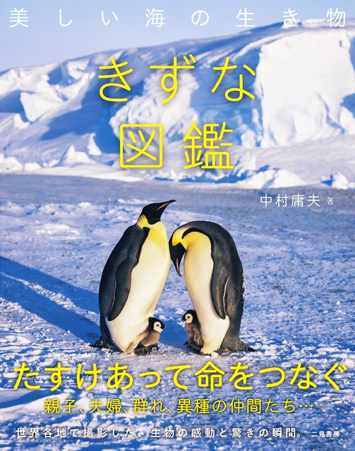 美しい海の生き物　きずな図鑑