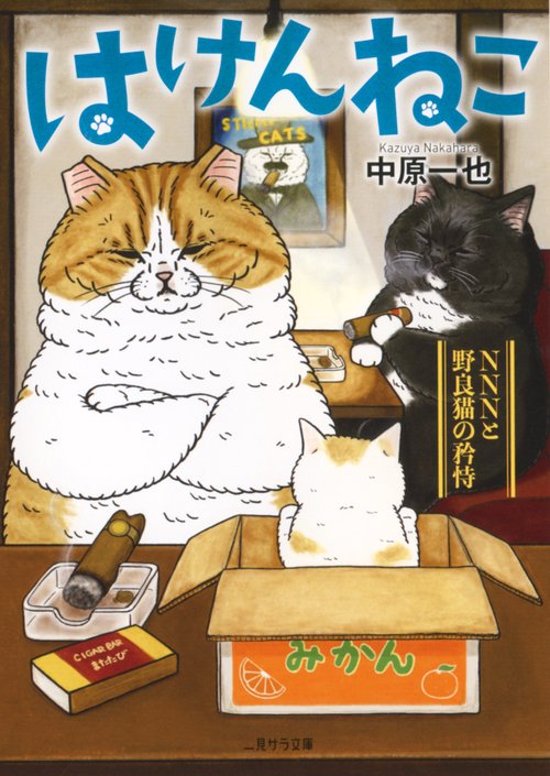 はけんねこ　NNNと野良猫の矜恃