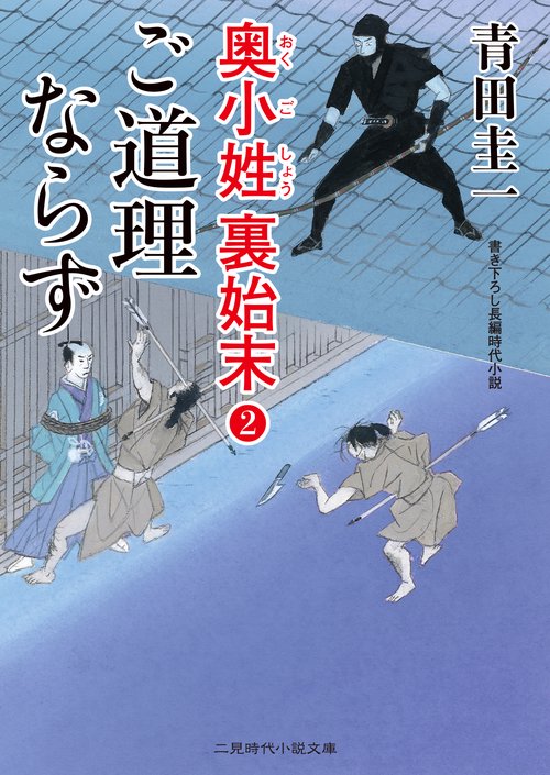 ご道理ならず　奥小姓裏始末２