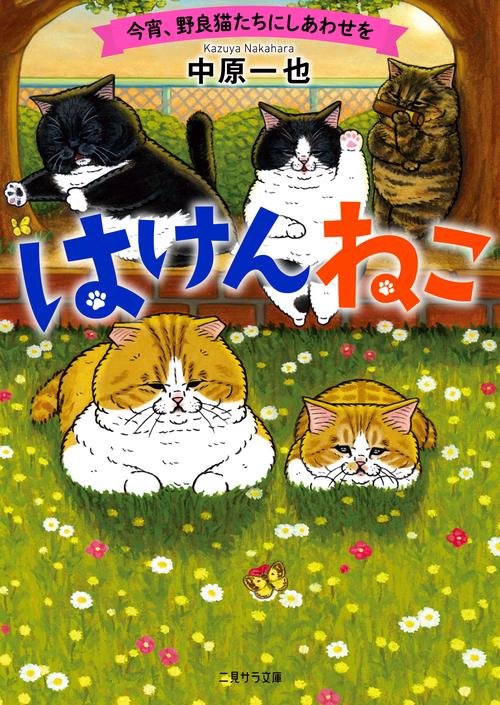 はけんねこ　今宵、野良猫たちにしあわせを