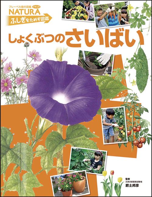 しょくぶつのさいばい